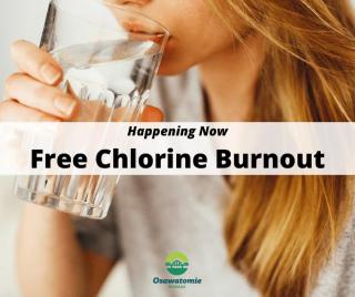 Free Chlorine Burnout 2022