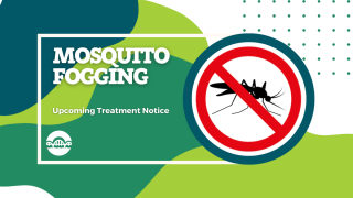 Mosquito Fogging