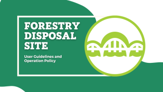 forestry site