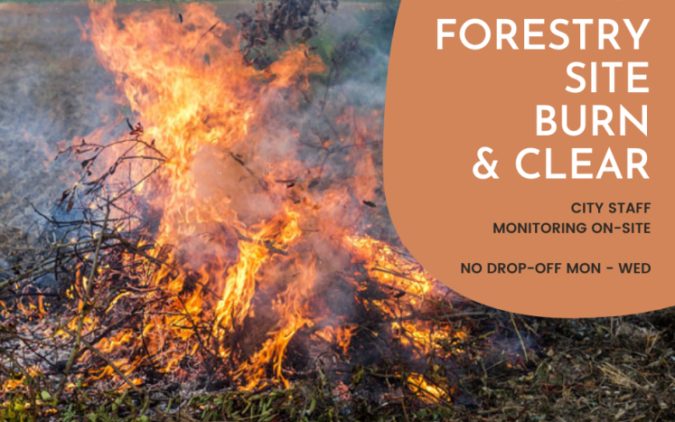 Forestry Site Burn & Clear
