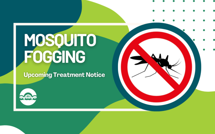 Mosquito Fogging