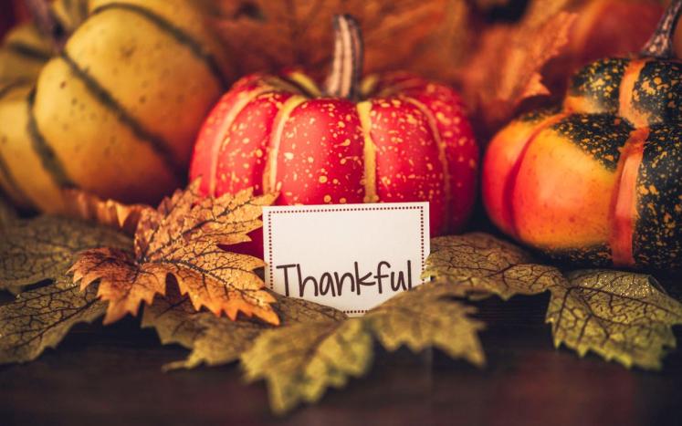 november thankfulness